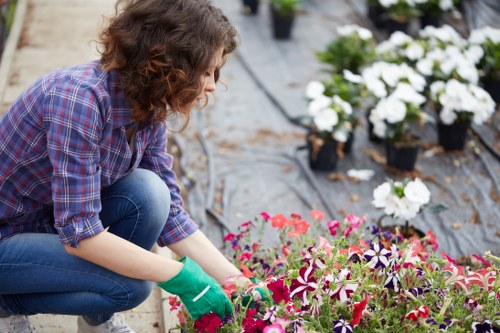 Gardening services in Plumstead for neat and healthy outdoor spaces