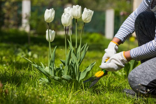 Garden clearance and maintenance services in Plumstead