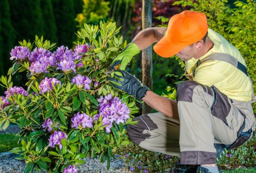 Tree removal service in Plumstead with safe sectional dismantling