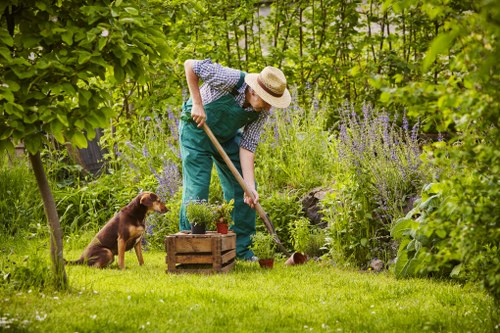 Gardeners Plumstead team working safely in a residential garden
