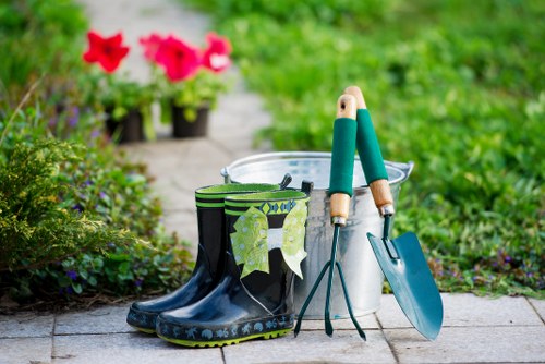 Local garden maintenance in Plumstead with lawn and border care