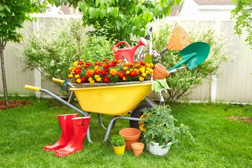 Healthy lawn care in a Plumstead residential garden