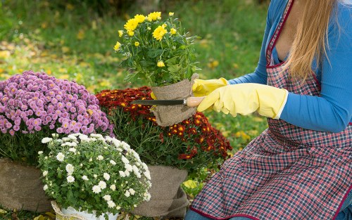 Annual review of anti-slavery measures for Gardeners Plumstead