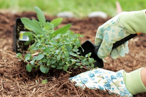 Reporting channels and safeguarding in Plumstead gardening services