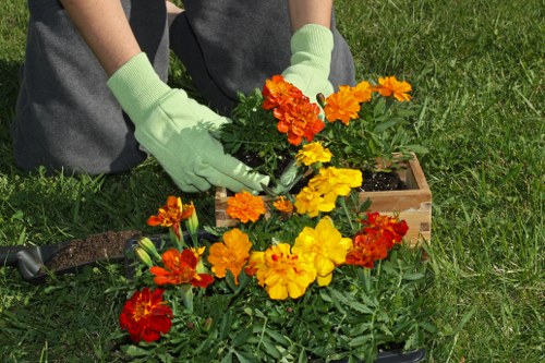 Professional Plumstead lawn care improving a patchy lawn
