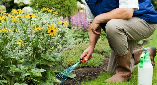 Gardeners Plumstead team introducing thoughtful outdoor care