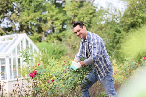 Seasonal gardening services in Plumstead for tidy gardens