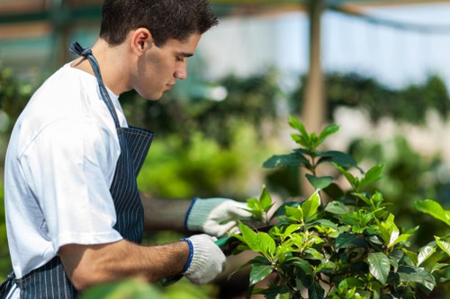 Risk-aware gardening preparation by Plumstead professionals