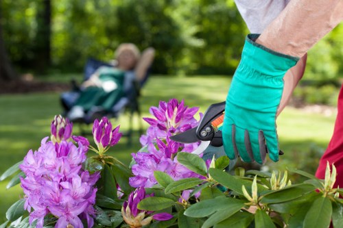 Landscape gardening in Plumstead showing layered planting and practical hard landscaping