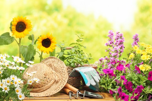 Seasonal lawn care in Plumstead with tidy grass and garden beds