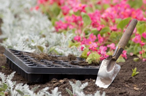 Regular lawn mowing service helping a Plumstead garden look pristine