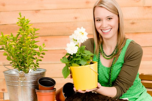 Professional gardeners Plumstead restoring and pruning a garden