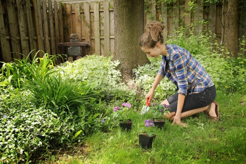Thoughtful gardening work in Plumstead for a tidy outdoor space