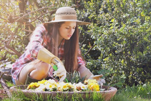 Professional Plumstead gardening support for pruning and planting