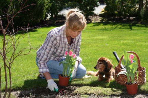 Creative decking ideas for Plumstead outdoor spaces and family gardens