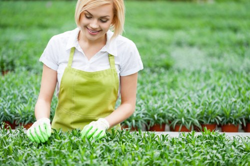 Gardeners Plumstead creating an attractive outdoor space in the local area