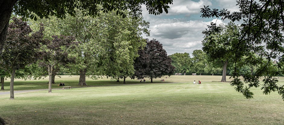 A spacious urban park area featuring a well-maintained lawn with a mix of lush green grass and patches of slightly darker, damp soil. Several mature trees with varying foliage—some with broad, green