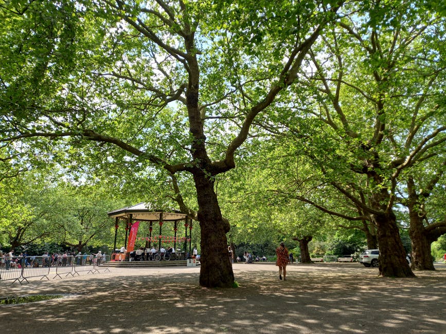A spacious urban park area featuring a well-maintained lawn with a mix of lush green grass and patches of slightly darker, damp soil. Several mature trees with varying foliage—some with broad, green